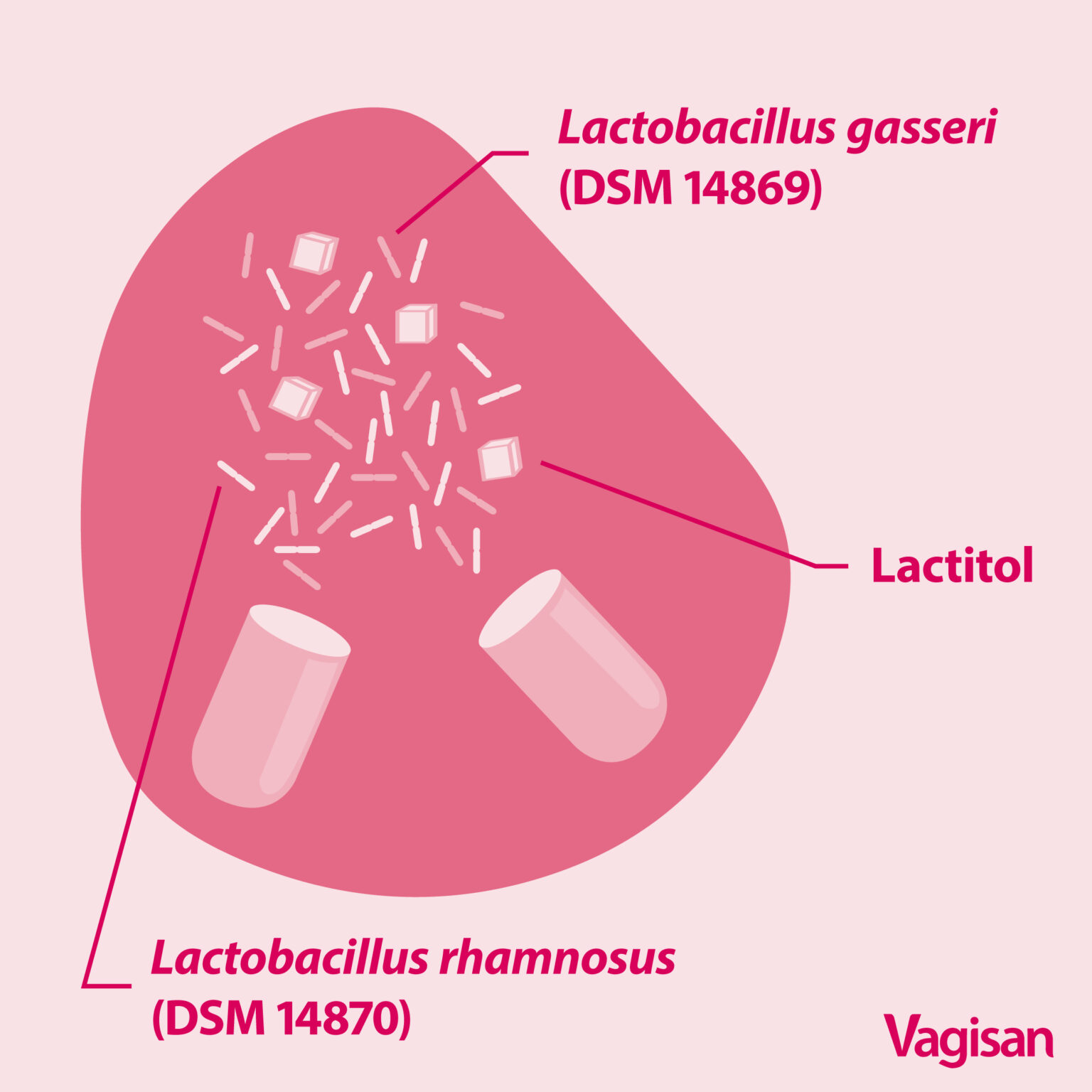 Vaginale Probiotika mit Milchsäurebakterien zukünftig nur als Arzneimittel erlaubt Dr. Wolff Group